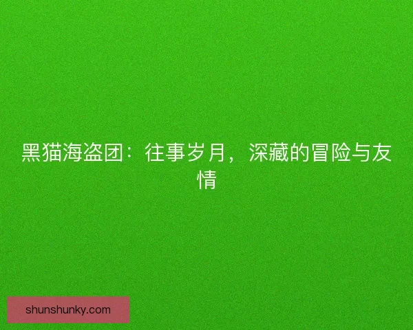 黑猫海盗团：往事岁月，深藏的冒险与友情