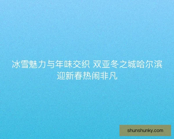 冰雪魅力与年味交织 双亚冬之城哈尔滨迎新春热闹非凡