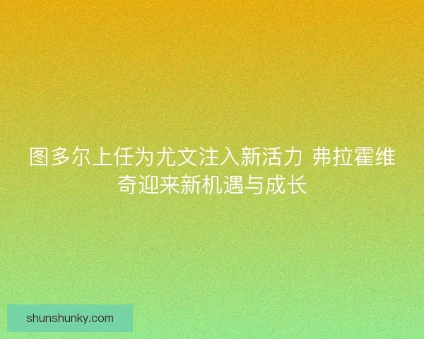 图多尔上任为尤文注入新活力 弗拉霍维奇迎来新机遇与成长