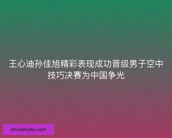 王心迪孙佳旭精彩表现成功晋级男子空中技巧决赛为中国争光