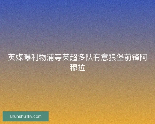 英媒曝利物浦等英超多队有意狼堡前锋阿穆拉